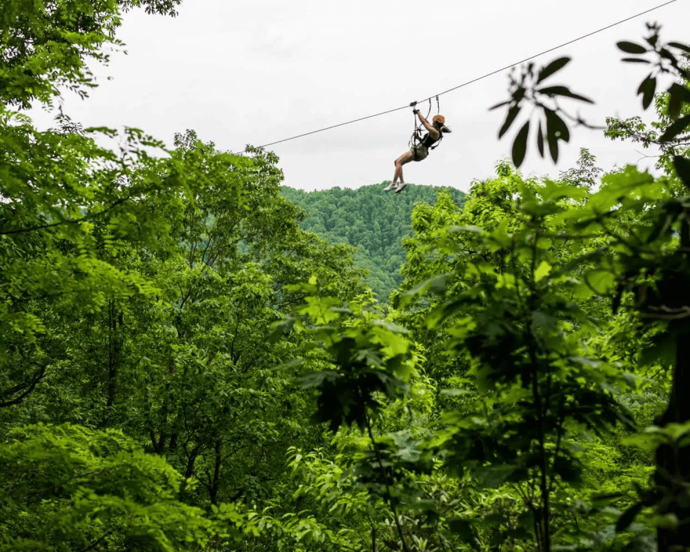 Jungle Zipline in Belize
